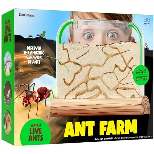 Dan&Darci Ant Farm Kit for Kids with sand and voucher