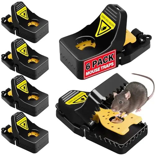 LULUCATCH black plastic snap traps, 6-pack