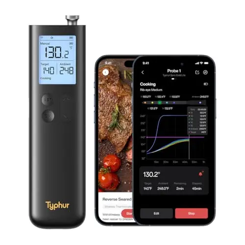 Typhur Sync Gold Lite wireless meat thermometer with one probe in a compact black design
