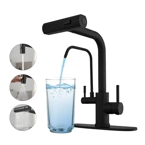JOOM Black Kitchen Faucet with Integrated Water Filter