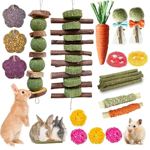 Jorewood large assortment of 21 colorful chew toys for rabbits and guinea pigs