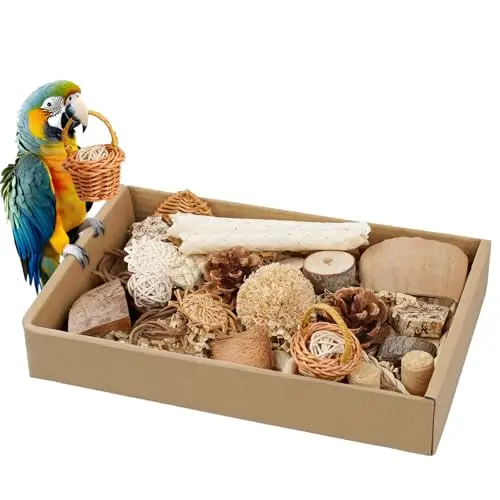 LANSUNHA variety box of natural bird foraging and shredding toys