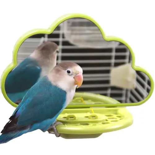 HIVOVANNN green cloud-shaped bird mirror with a wooden perch and hidden slow-feeder compartment