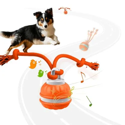 OYSMY orange automatic rolling ball dog toy with a rope tail