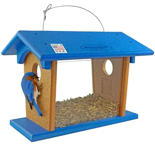DutchCrafters blue and cedar HDPE bluebird mealworm feeder with a hinged roof