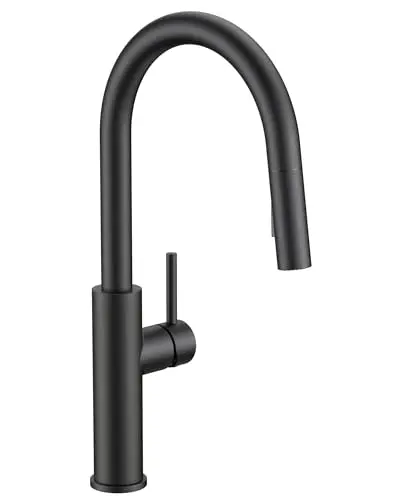 FORIOUS matte black classic kitchen faucet with pull-down sprayer and high arc