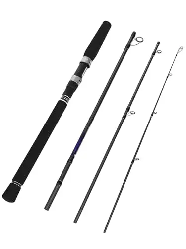 Jenseits 4-piece black travel spinning rod broken down next to its tube