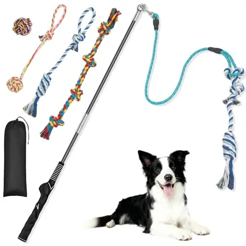 Popoko black flirt pole for dogs with attached rope toy and carry bag