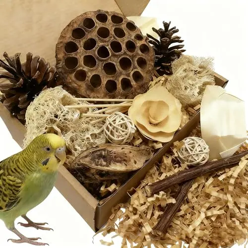 PINEPOP Lotus Pod foraging box filled with natural bird-safe materials