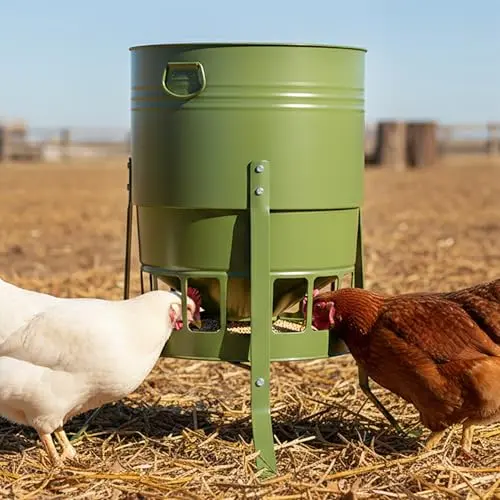 KOL avocado green powder-coated metal chicken feeder with 16 low feeding ports