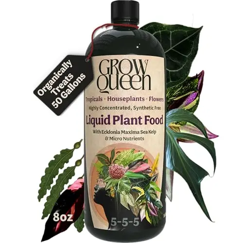 Grow Queen Organic Liquid Indoor Plant Food bottle