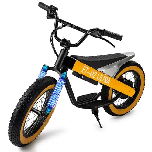 DUODIAN yellow fat tire electric bike for kids